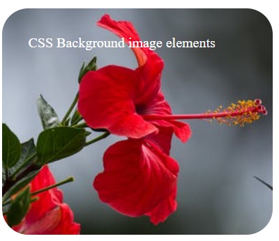 CSS Background image elements