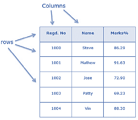 R Data Frame